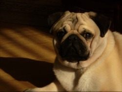 Abner