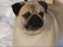 Abner