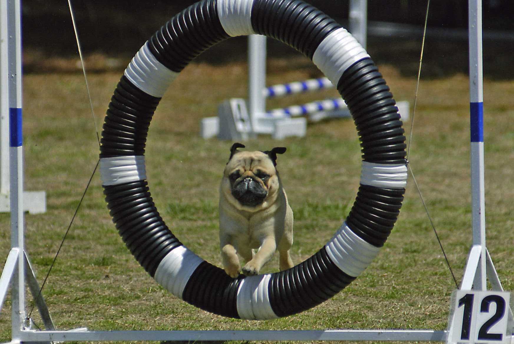 rocket_tire.jpg